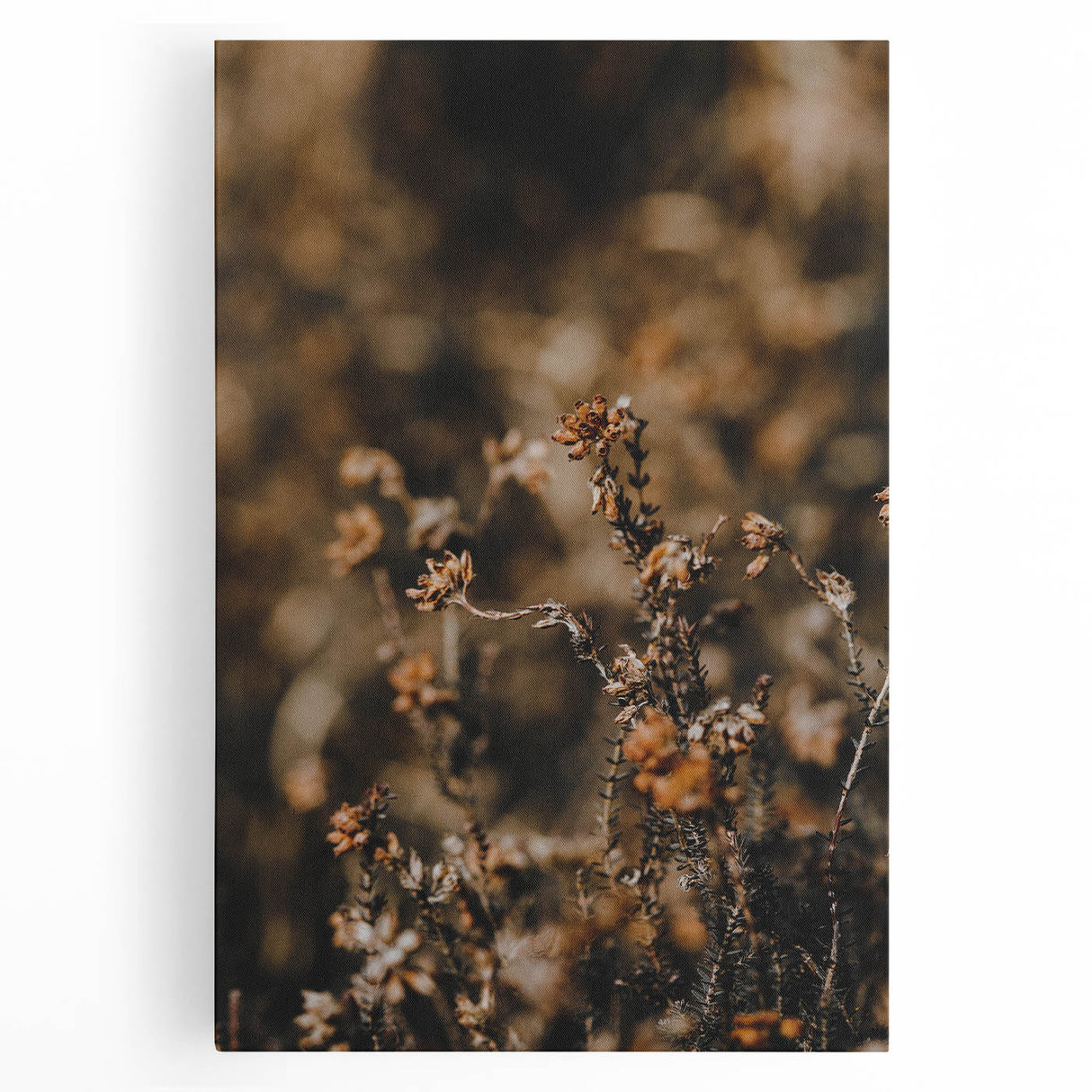 Large black and white canvas of a tree in autumn, ideal for kitchen wall art.