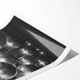 Extra large wall art featuring black and white line art flowers on a rolled print, suited for large living room decor.