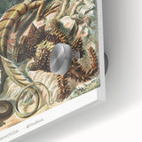 Lacertilia Modern Wall Art – Intricate Natural History Decor