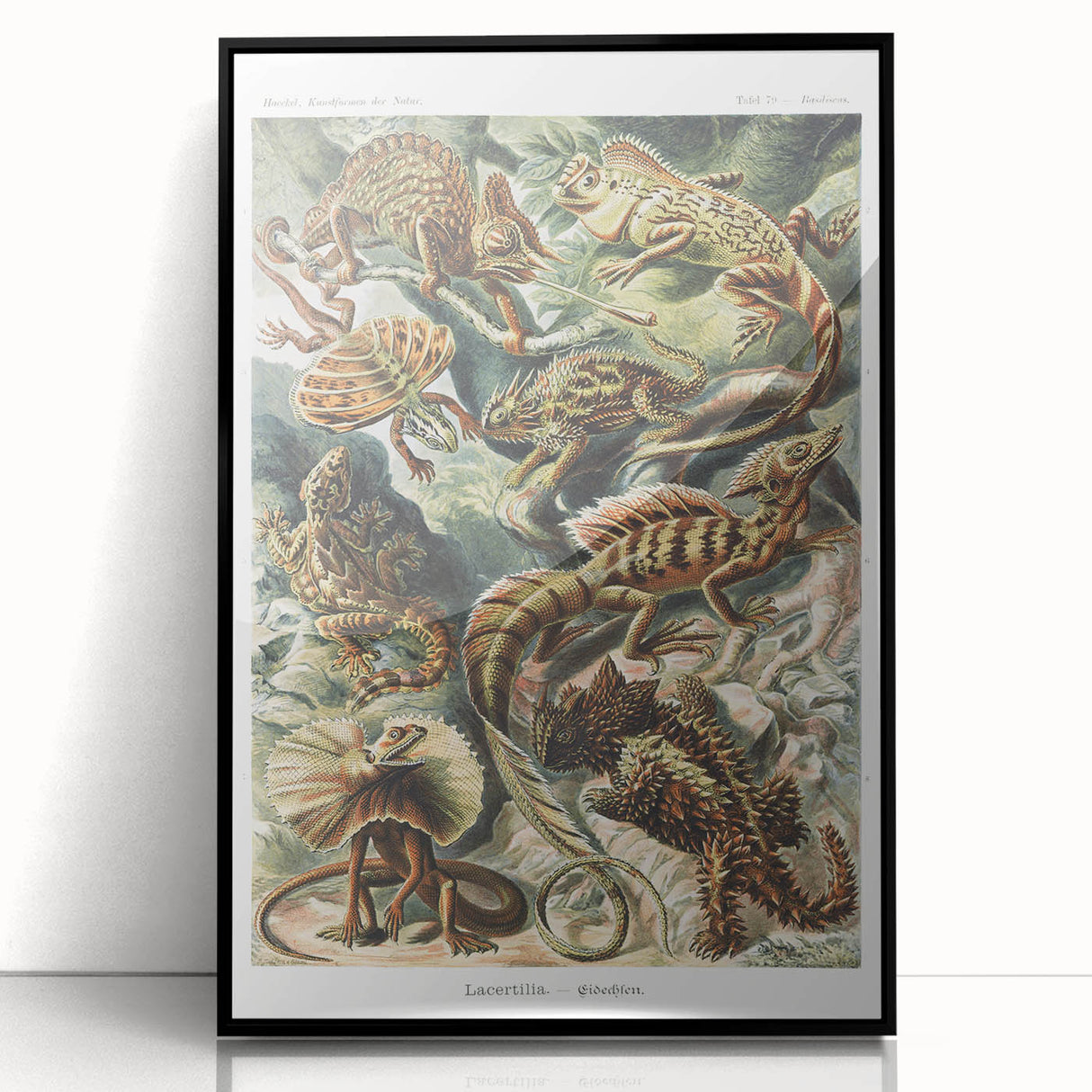 Lacertilia Modern Wall Art – Intricate Natural History Decor