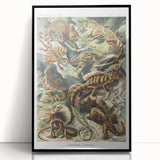 Lacertilia Modern Wall Art – Intricate Natural History Decor