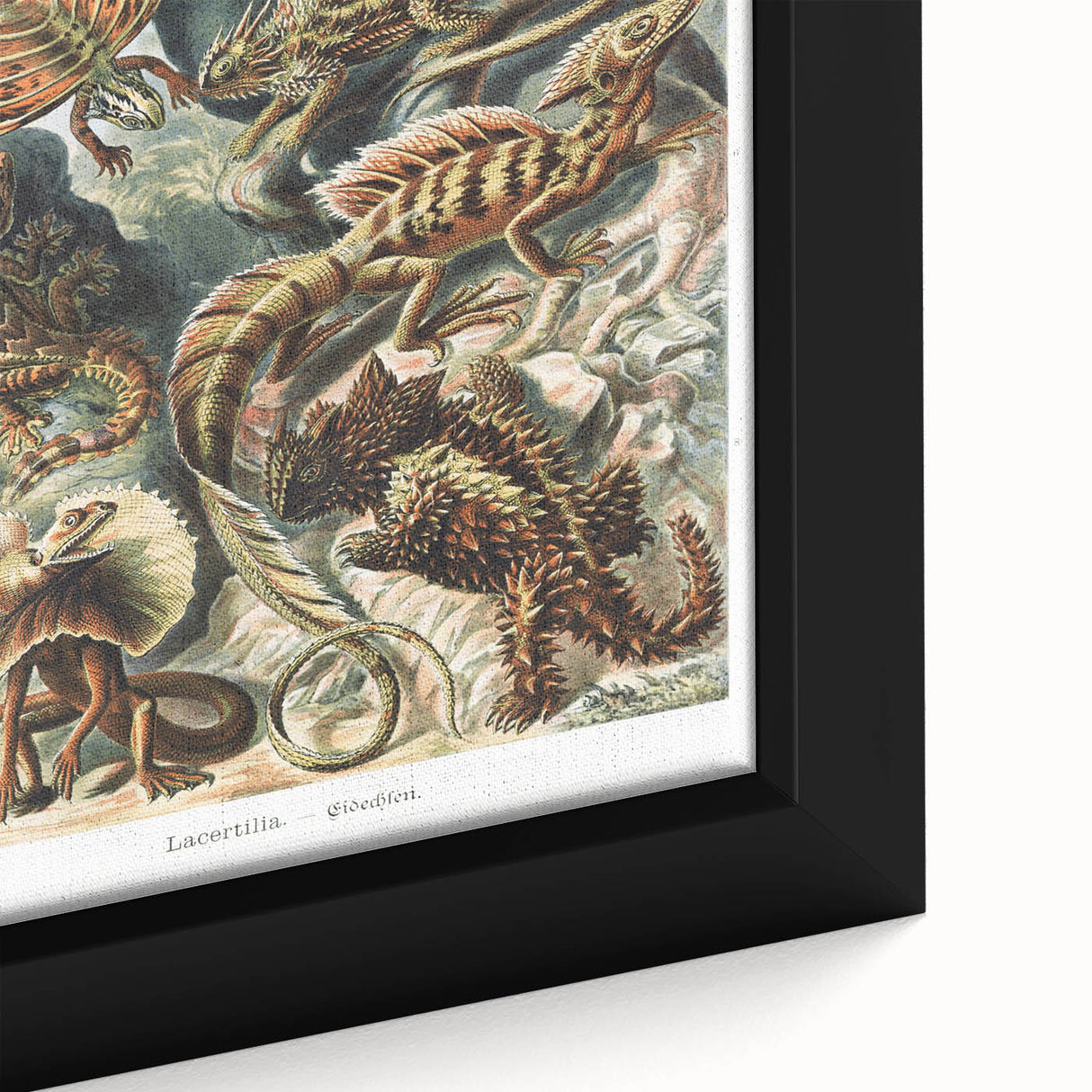 Lacertilia Modern Wall Art – Intricate Natural History Decor