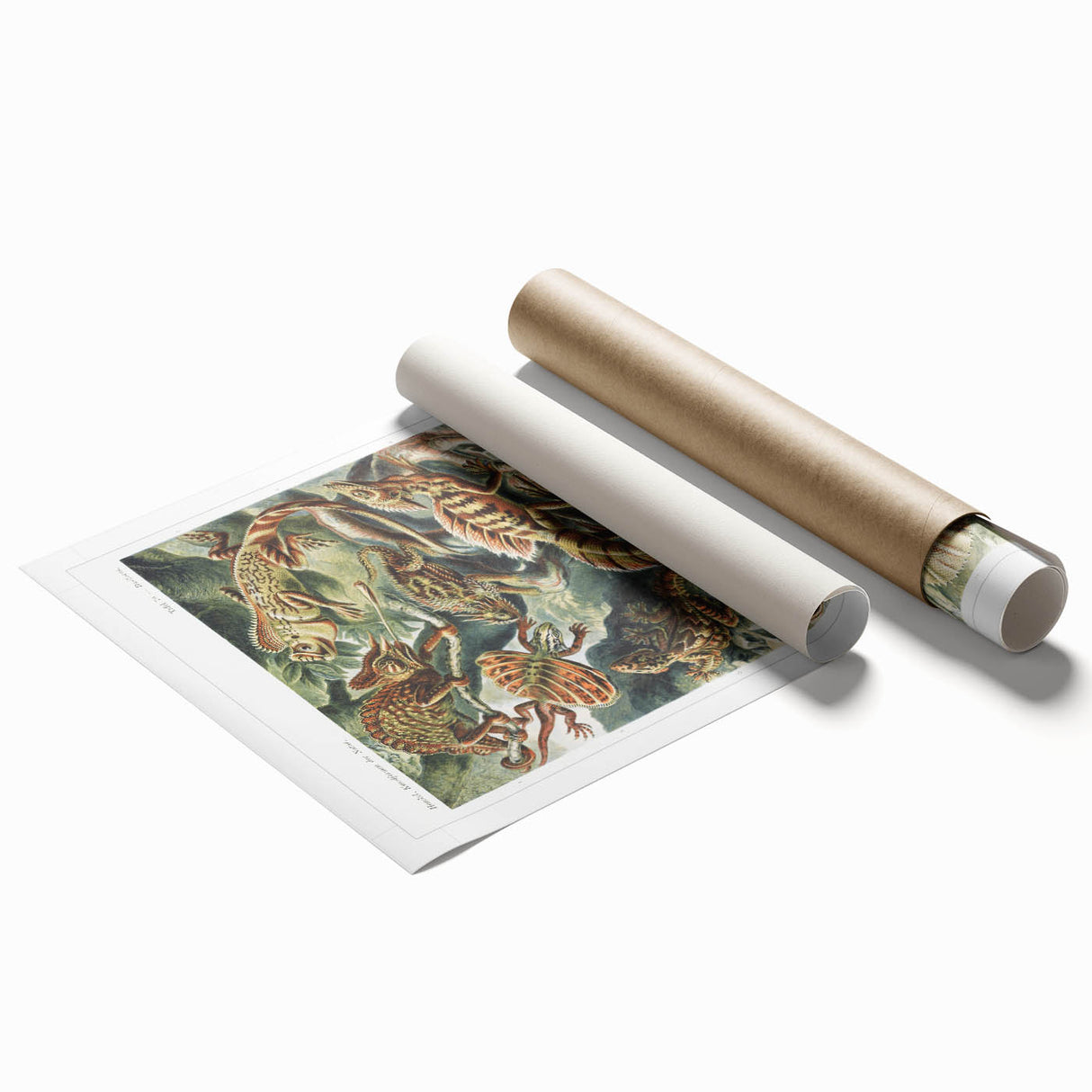 Lacertilia Modern Wall Art – Intricate Natural History Decor