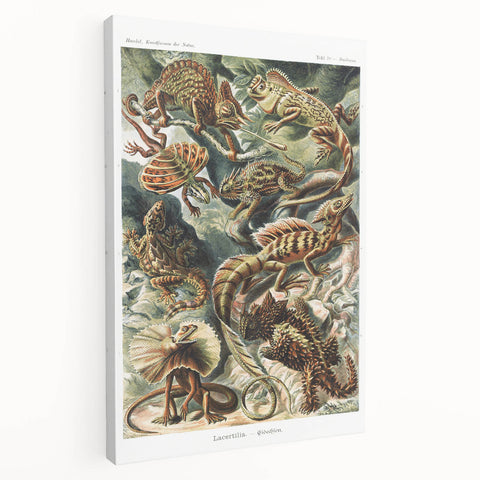 Lacertilia Modern Wall Art – Intricate Natural History Decor