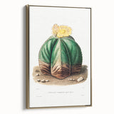 Romanticism Art: Bishop’s Cap Cactus Illustration Canvas Print