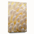 Close-up floral acrylic print in vibrant colors, ideal for bedroom or dining room decor.
