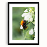 Extra large abstract art print of colorful, textured spring scene on a framed black canvas, ideal for living room decor.