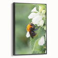 Black and white vintage poster art on framed canvas depicting a spring landscape, ideal for bedroom decor.
