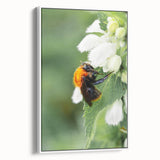 Extra large framed canvas featuring vintage poster art of colorful spring design on a black background.