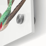 Modern Wall Art - Graceful Hummingbird Illustration with Vibrant Detail
