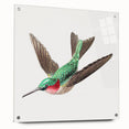 Modern Wall Art - Graceful Hummingbird Illustration with Vibrant Detail