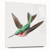 Modern Wall Art - Graceful Hummingbird Illustration with Vibrant Detail