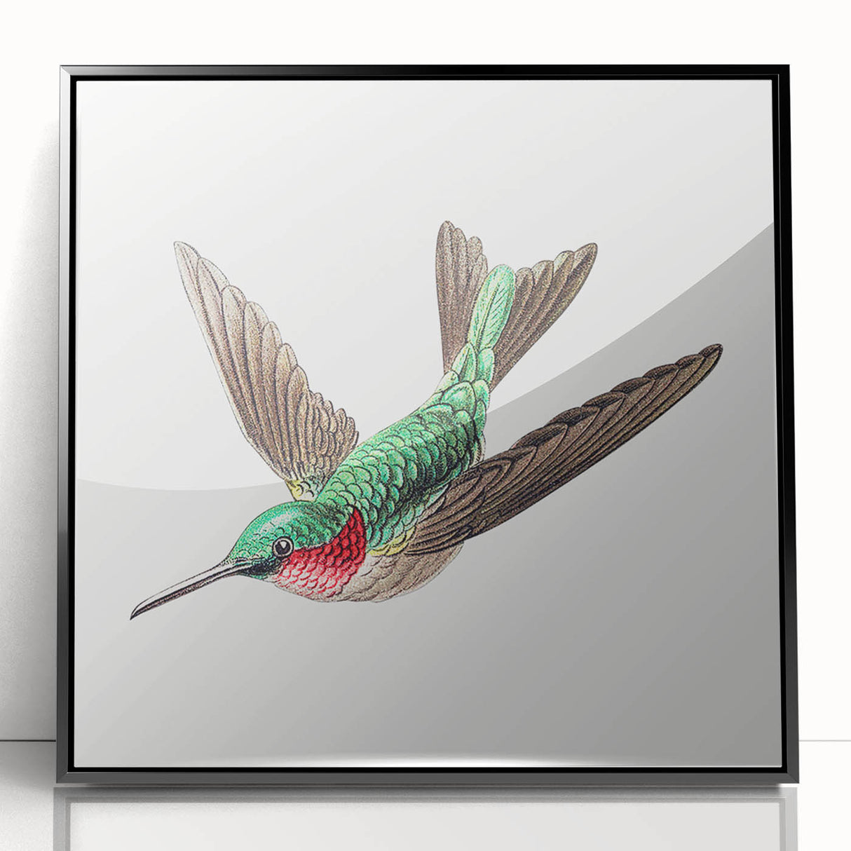 Modern Wall Art - Graceful Hummingbird Illustration with Vibrant Detail