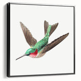 Modern Wall Art - Graceful Hummingbird Illustration with Vibrant Detail