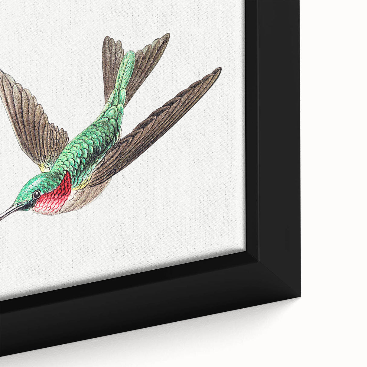 Modern Wall Art - Graceful Hummingbird Illustration with Vibrant Detail