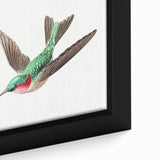 Modern Wall Art - Graceful Hummingbird Illustration with Vibrant Detail