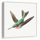 Modern Wall Art - Graceful Hummingbird Illustration with Vibrant Detail