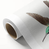 Modern Wall Art - Graceful Hummingbird Illustration with Vibrant Detail