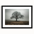Solitary Tree in Fog Office Wall Art – Modern Corporate Decor
