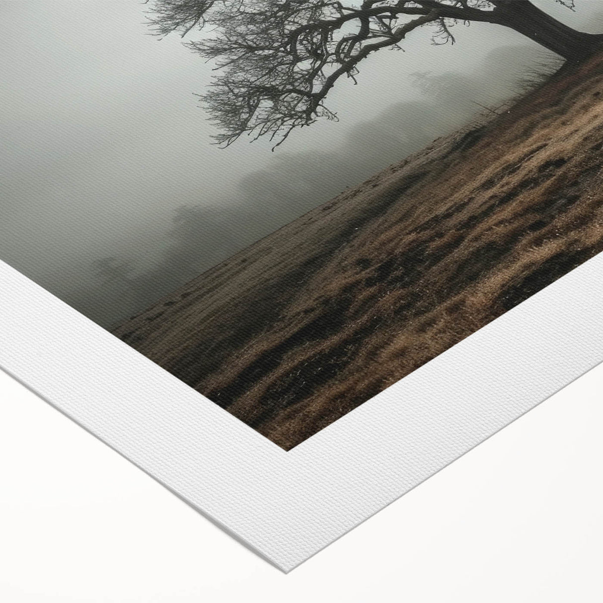 Solitary Tree in Fog Office Wall Art – Modern Corporate Decor