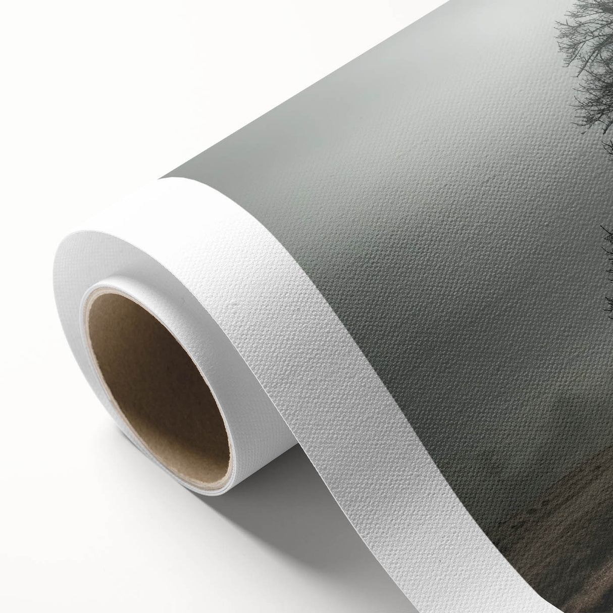 Solitary Tree in Fog Office Wall Art – Modern Corporate Decor