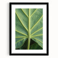 Extra large abstract art print featuring a textured mix of vibrant colors on a black framed canvas.