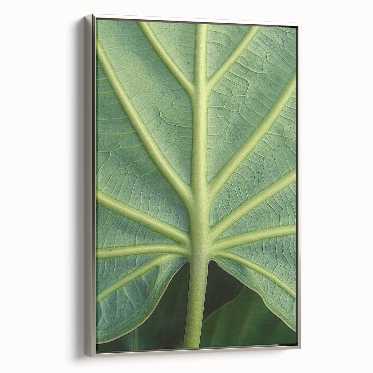 Framed canvas featuring a vintage poster-style landscape art painting with colorful flowers and black background.