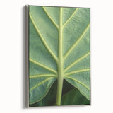 Framed canvas featuring a vintage poster-style landscape art painting with colorful flowers and black background.