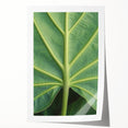 Close-up floral art on rolled print featuring vibrant red and green tones, ideal for art wall dining room.