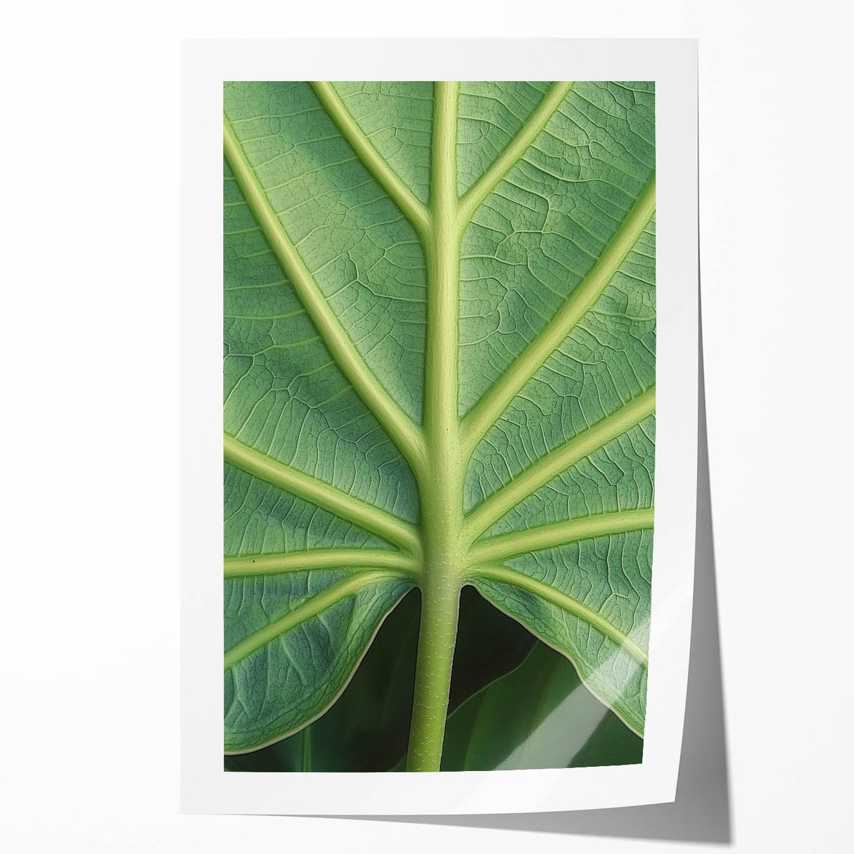 Close-up floral art on rolled print featuring vibrant red and green tones, ideal for art wall dining room.