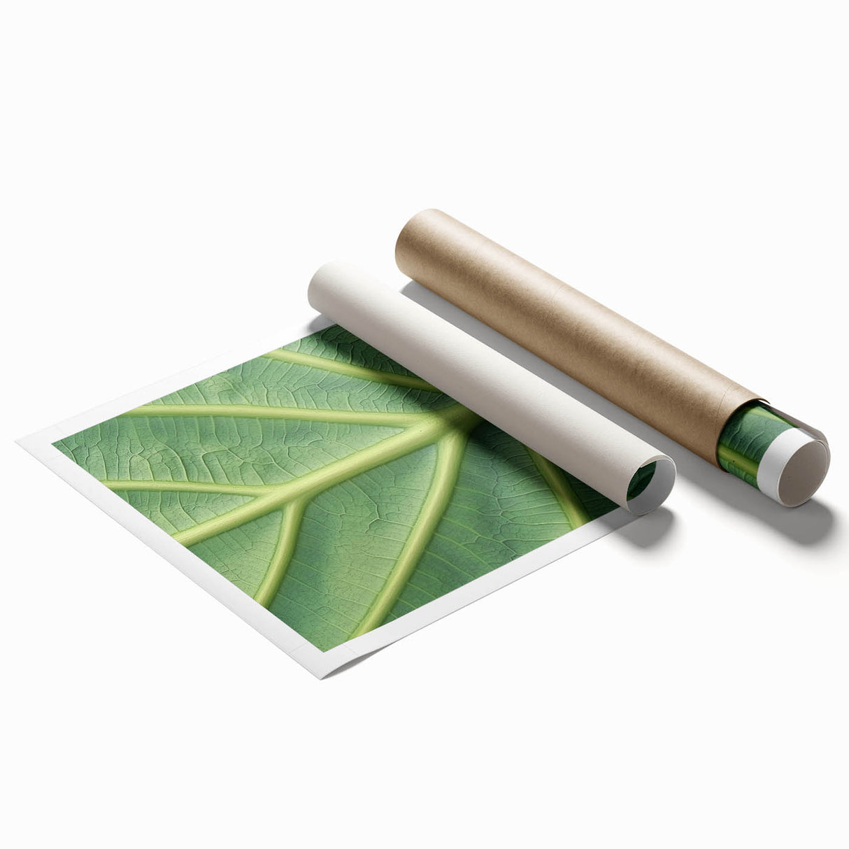 Close-up floral art on rolled print, featuring soft pink and green tones, suitable for classy bathroom wall art.