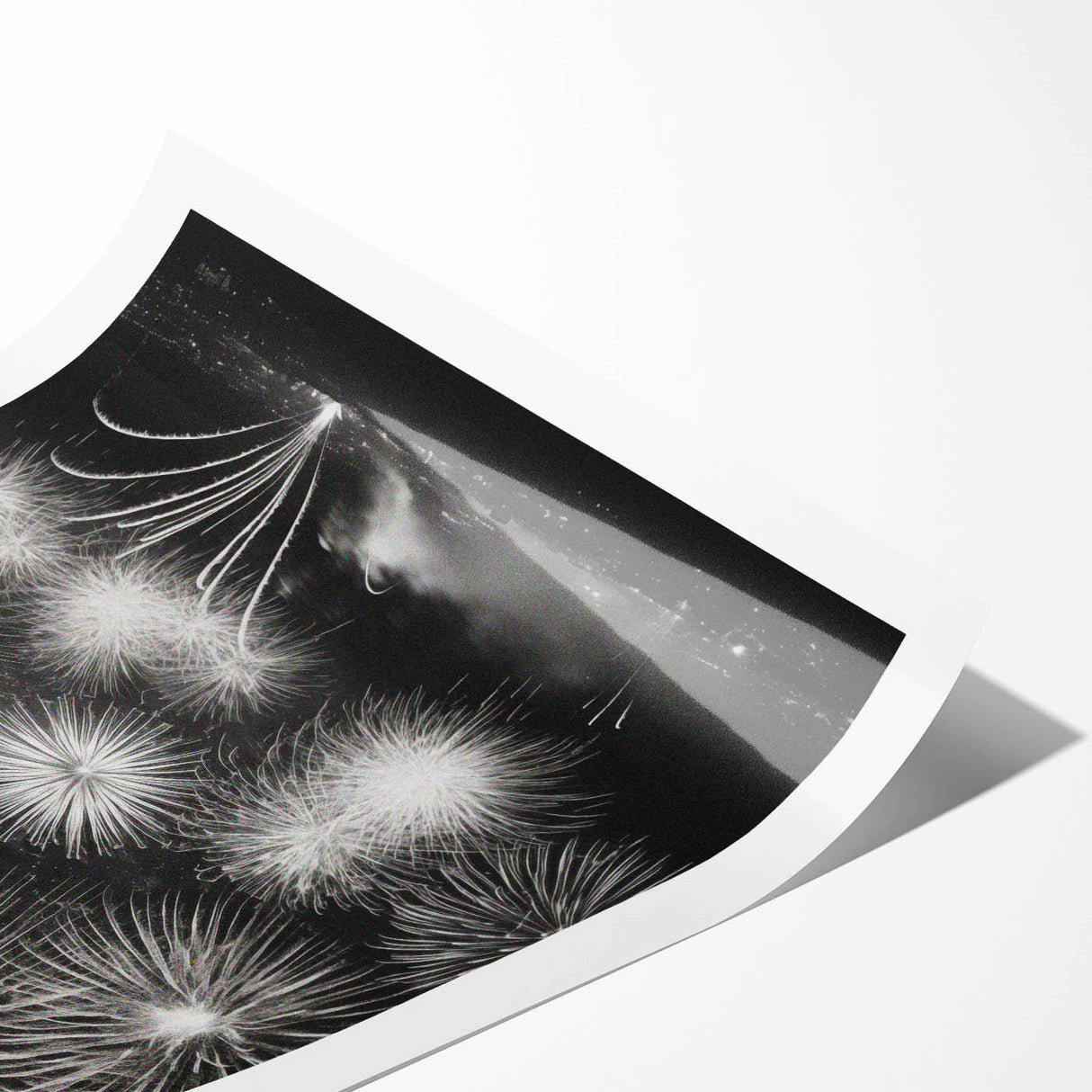 Extra large wall art featuring black line art flowers on a white background, rolled print format.
