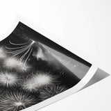 Extra large wall art featuring black line art flowers on a white background, rolled print format.