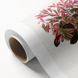 Romanticism Art: Alternanthera Leaf Botanical Canvas Print