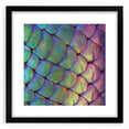 Extra large abstract art print featuring a colorful, textured close-up of animal motifs on a black framed canvas.