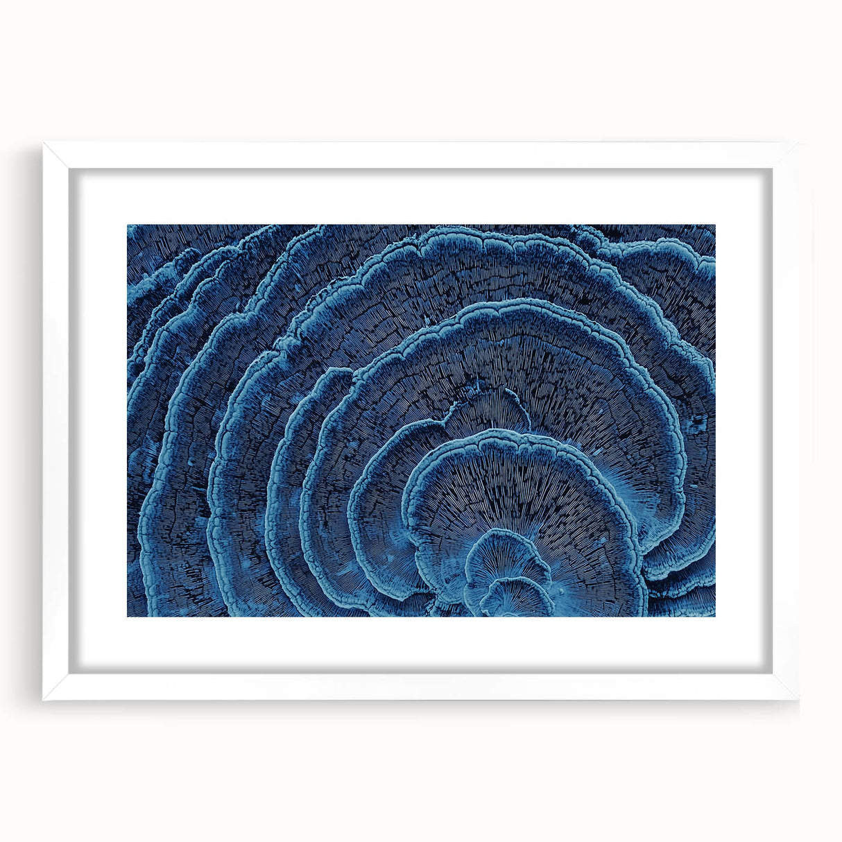 Abstract art print featuring close-up floral designs in soft pastel colors on a white framed canvas.