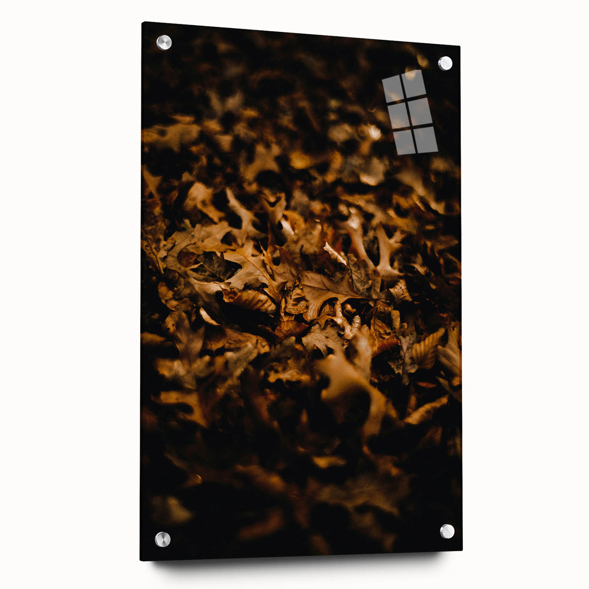 Large abstract wall art depicting vibrant autumn hues on acrylic glass, suitable for bedroom or dining room decor.