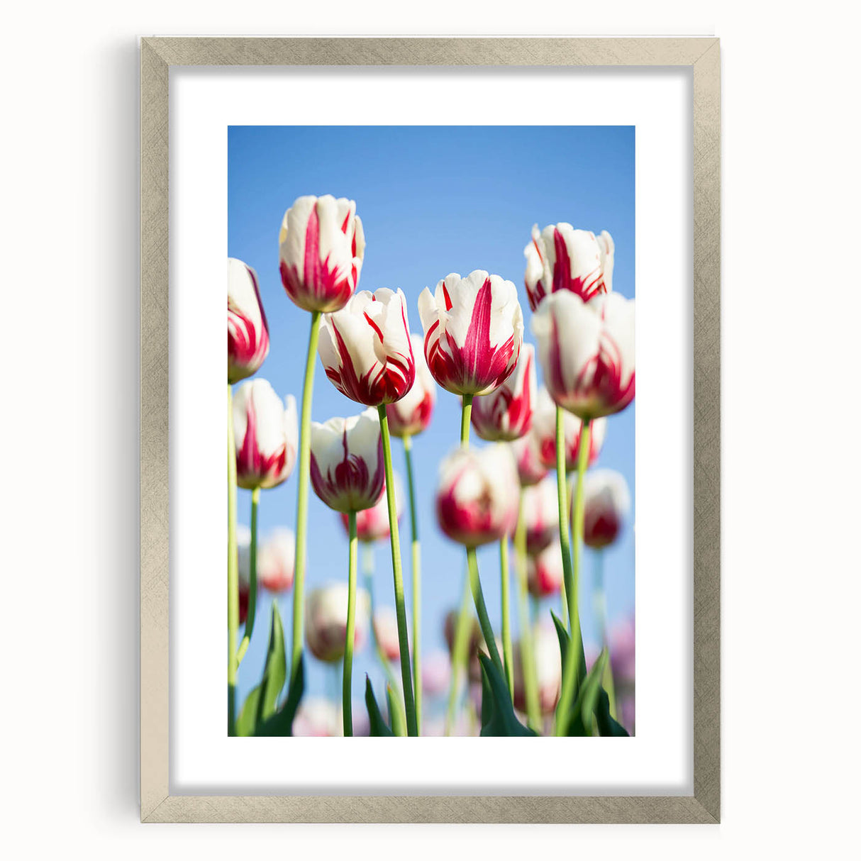 Textured abstract art print featuring swirls in soft green and white, framed in silver, ideal for bedroom wall decor.