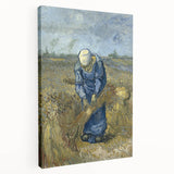 Impressionist Wall Art - Peasant Woman Binding Sheaves by Van Gogh