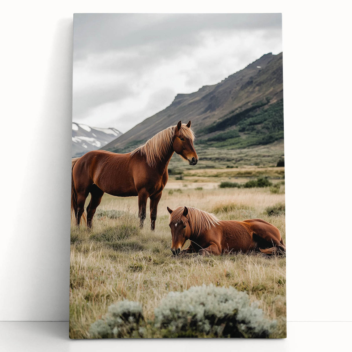 Peaceful Horses Countryside Wall Art - Scenic Rural Landscape Canvas