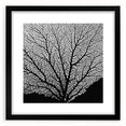 Extra large abstract art print featuring textured, colorful floral designs on a black framed canvas.