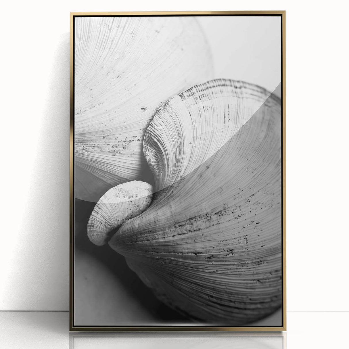 Large art print of a close-up nature scene in a mid-century modernist style, framed in acrylic with gold tones.