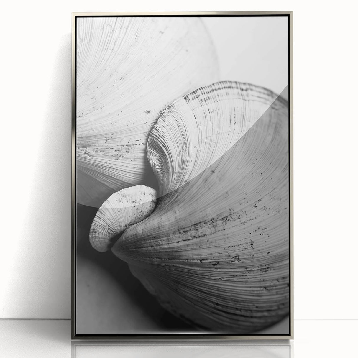 Mid-century modernist art of nature elements in silver frame, acrylic print, suitable for nursery wall art.