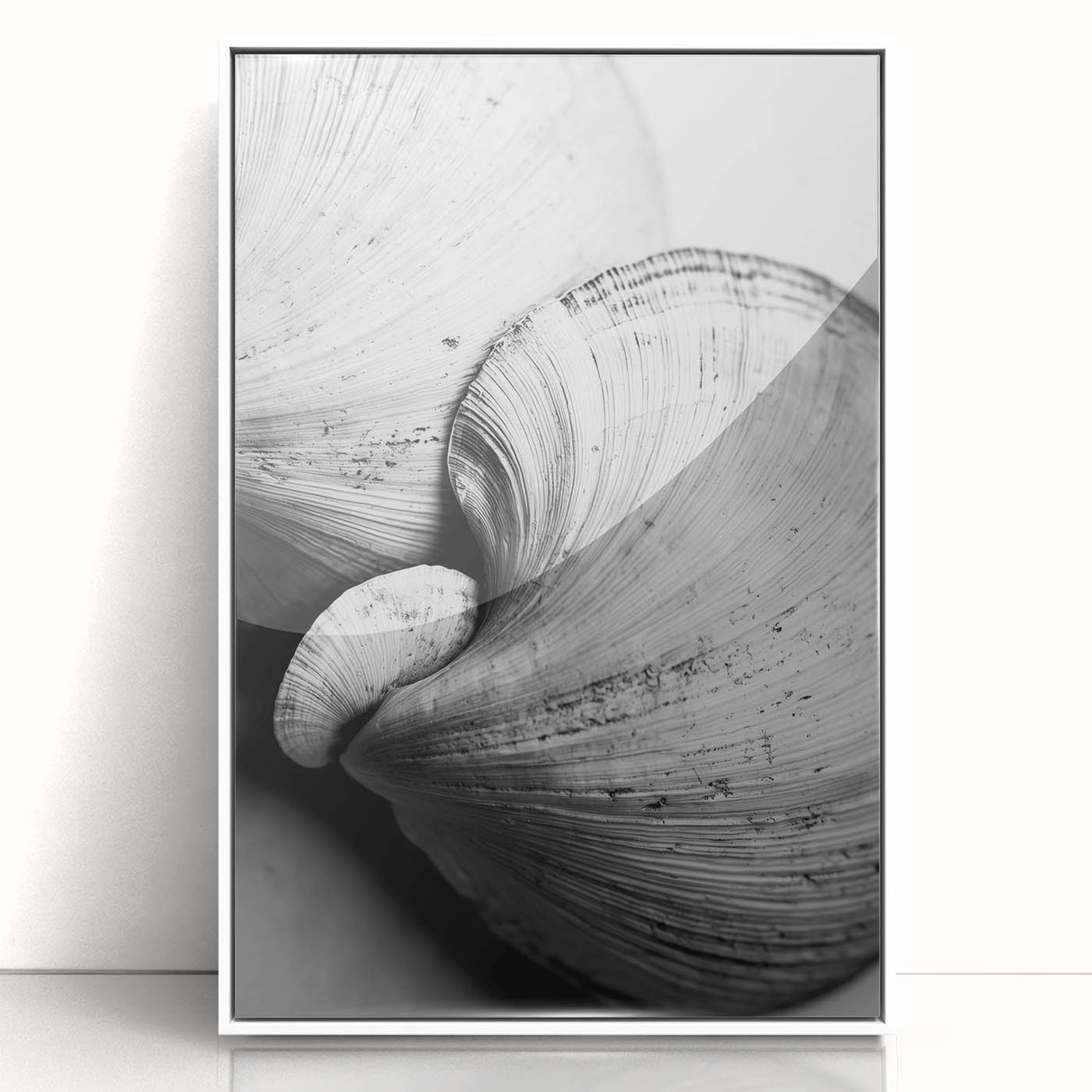 Art Deco style poster depicting a close-up of nature elements in soft green and white tones, framed in acrylic.