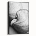 Black and white framed canvas featuring a close-up landscape, ideal for bedroom wall decor.