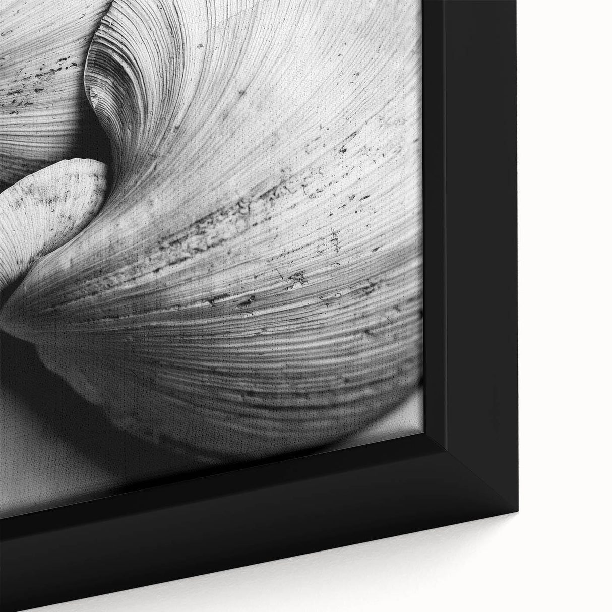 Extra large framed canvas featuring a close-up of colorful, textured leaves on a black background.
