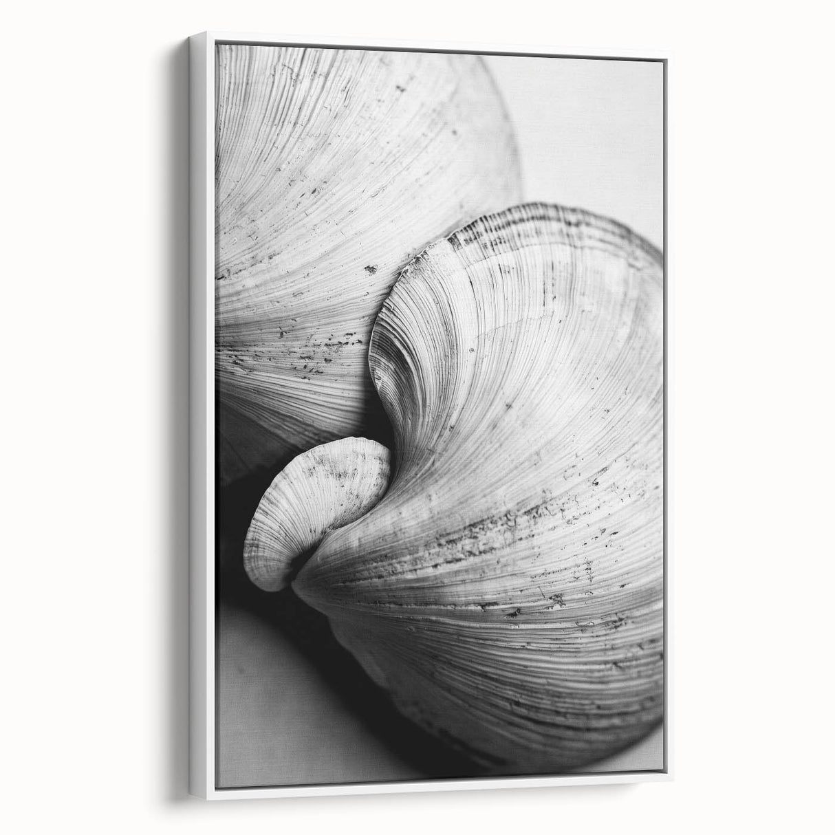 Vintage poster art of colorful nature elements on a large framed canvas, ideal for living room decor.