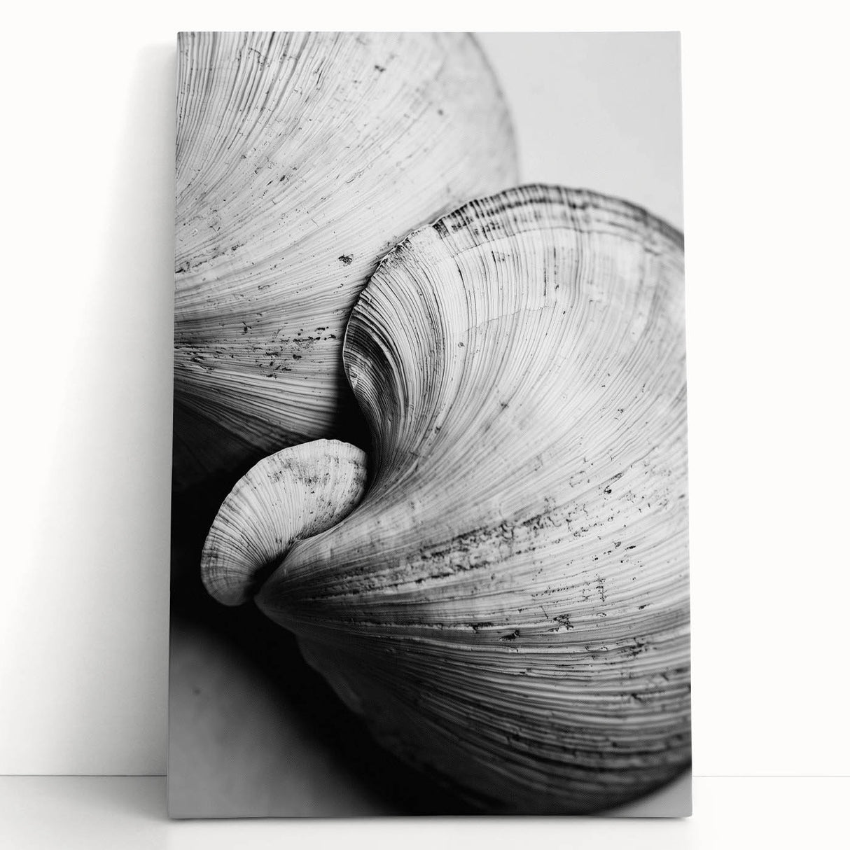 Black and white close-up photo of leaves on stretched canvas, ideal for kitchen wall art or bedroom.
