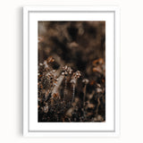 Abstract art print depicting autumnal trees in earth tones, framed in white, suitable for dining room decor.