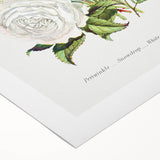 Romanticism Art: Floral Bouquet Illustration Canvas Print